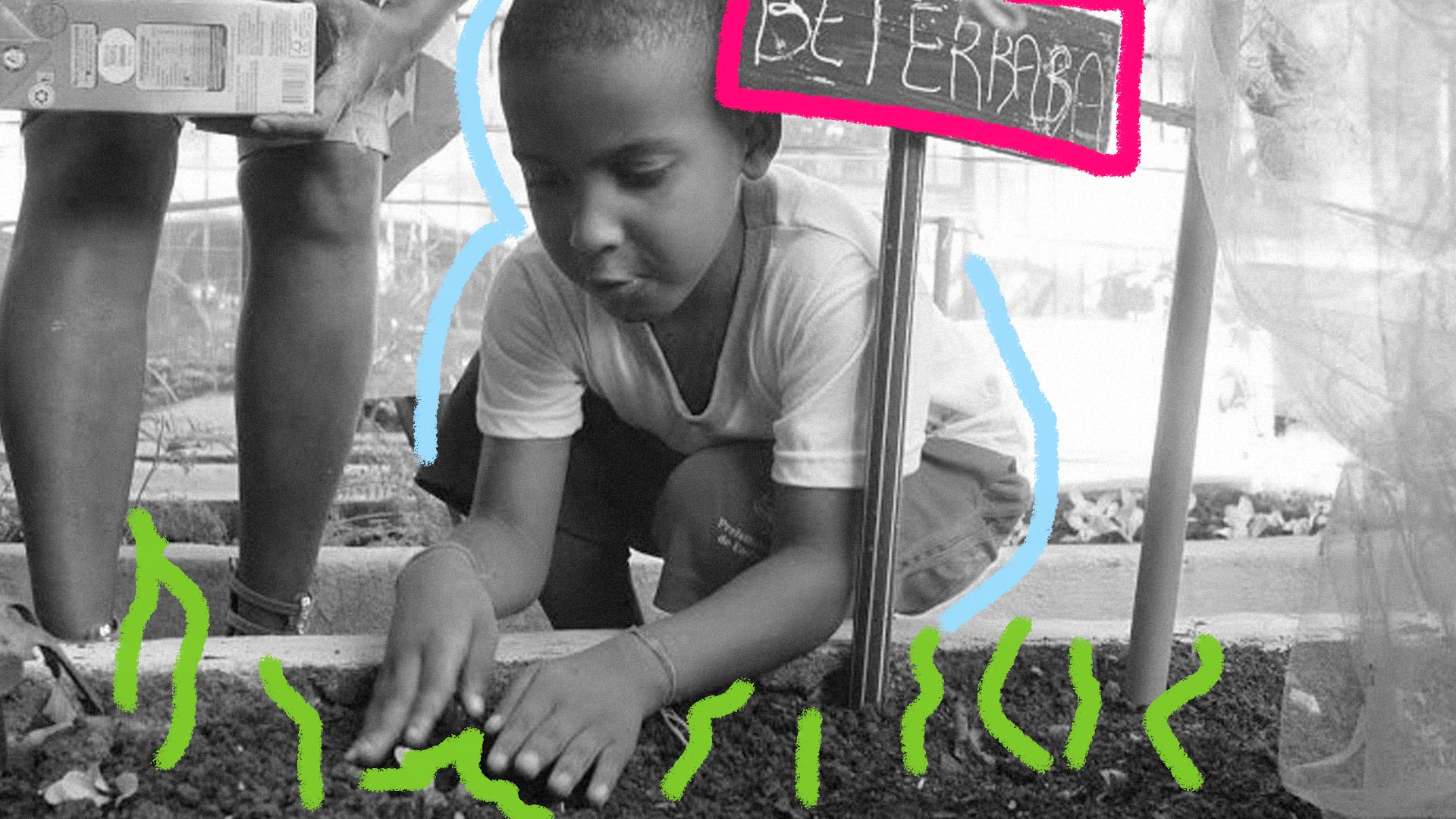 Foto em preto e branco. Uma criança abaixada com as mãos na terra, uma placa indicando que ela está plantando beterrabas