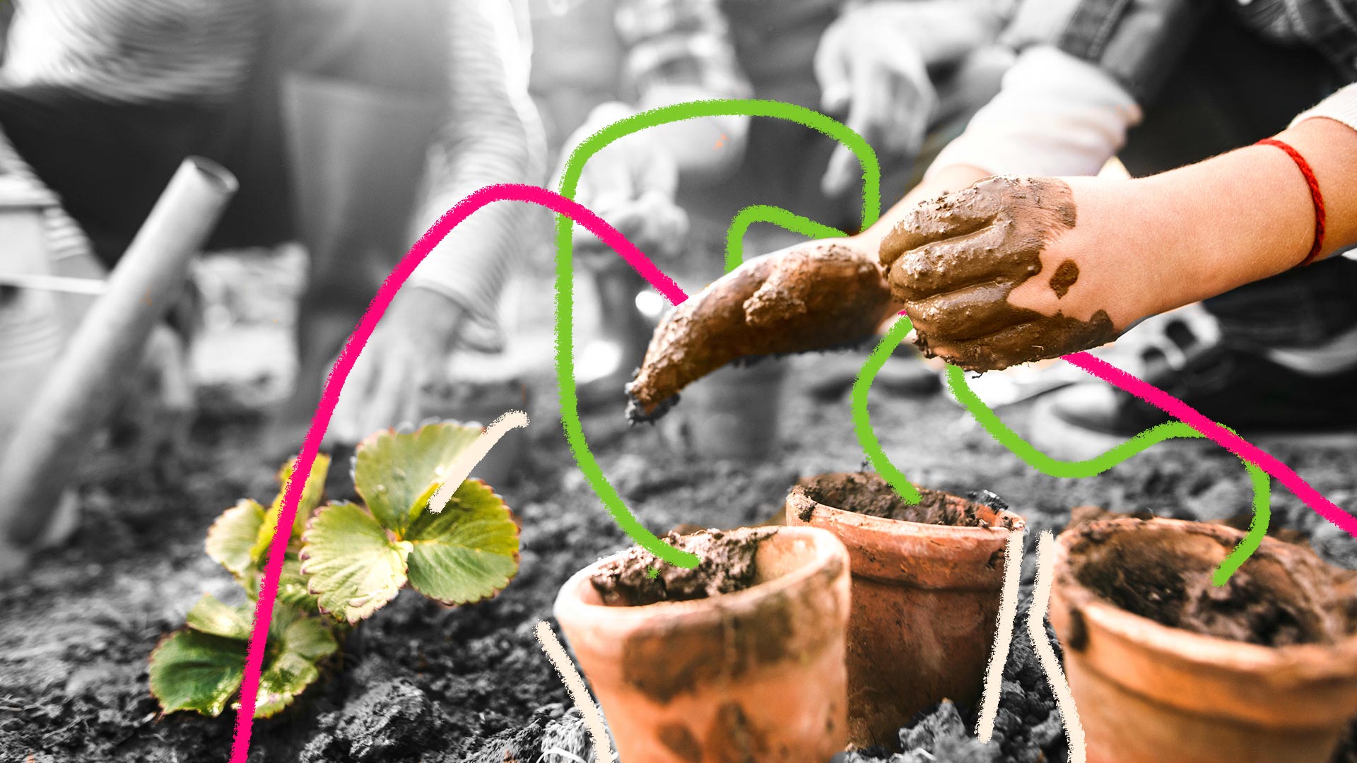 imagem em preto e branco, em um jardim, uma criança com mãos sujas de terra segura uma planta