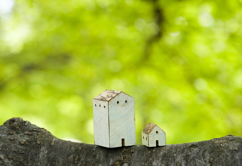 Uma foto em primeiro plano mostra casinhas feitas de papel debruçadas sobre uma árvore.