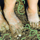 Foto em cores de pés de crianças chafurdando em lama