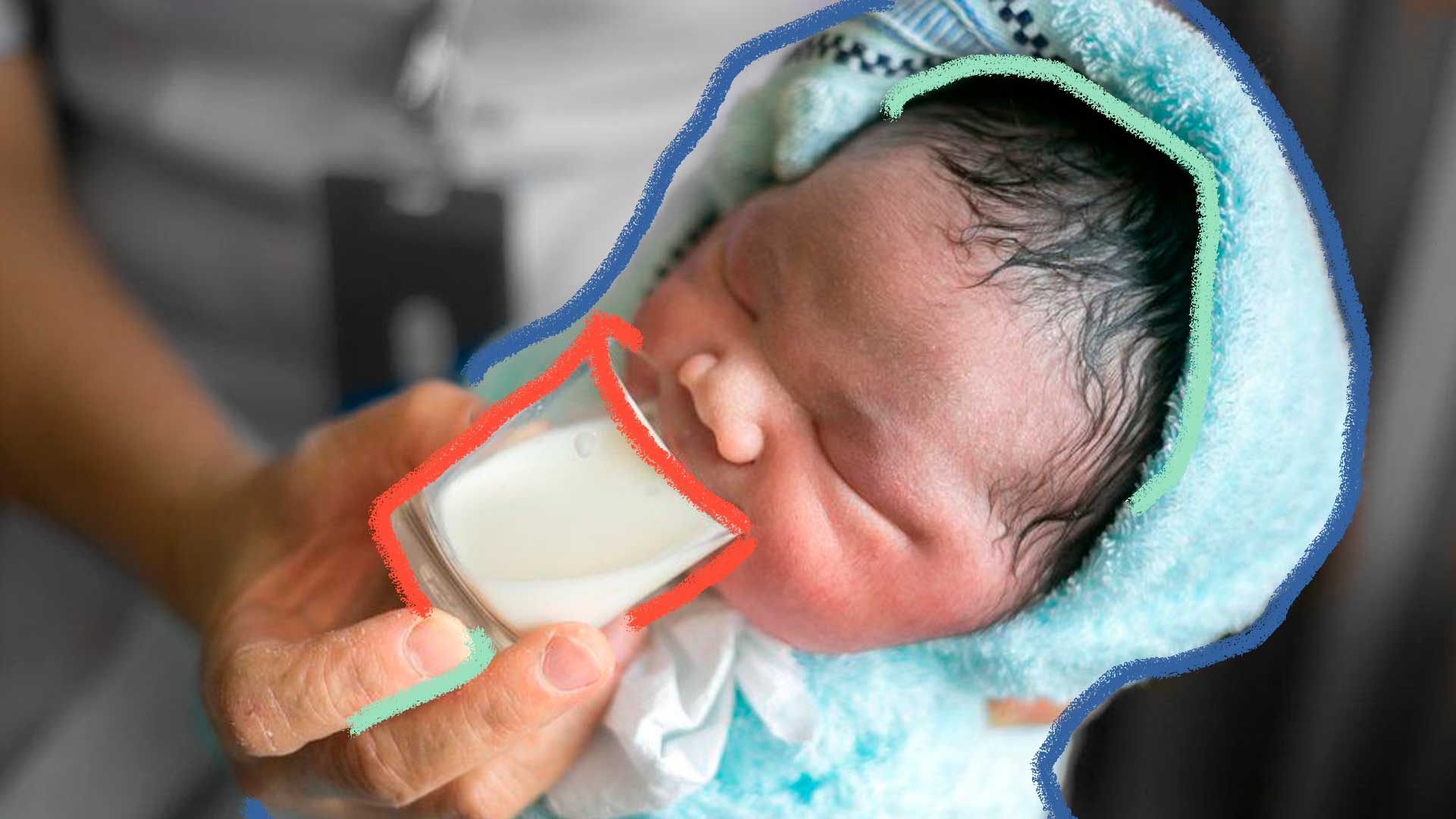 um bebê recém-nascido de olhos fechado segurado por um adulto oferecendo um pequeno copo de leite