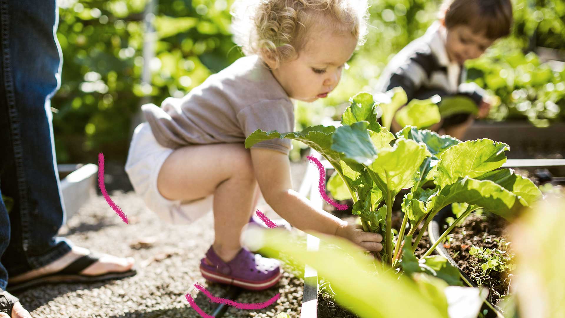 Ребенок земли фото. Plant picking.