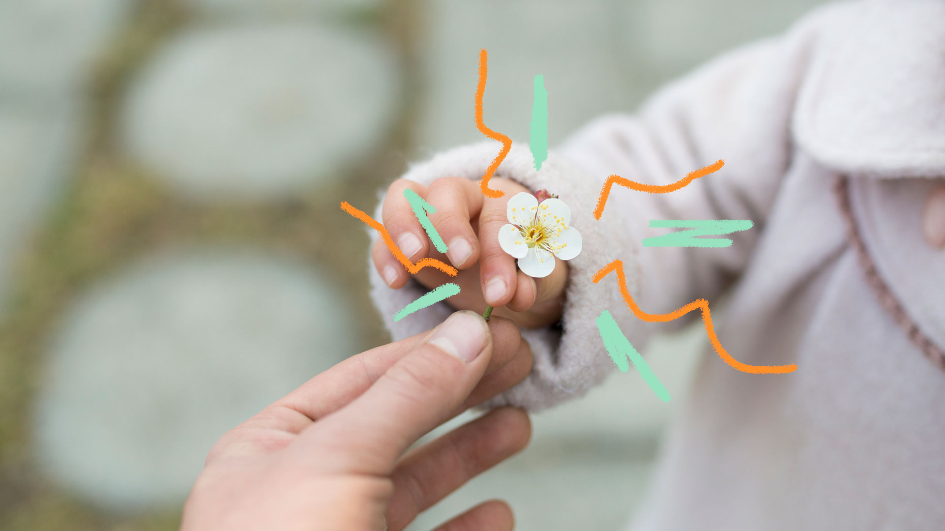 Uma foto em close mostra a mão de uma criança entregando uma pequena flor para um adulto.