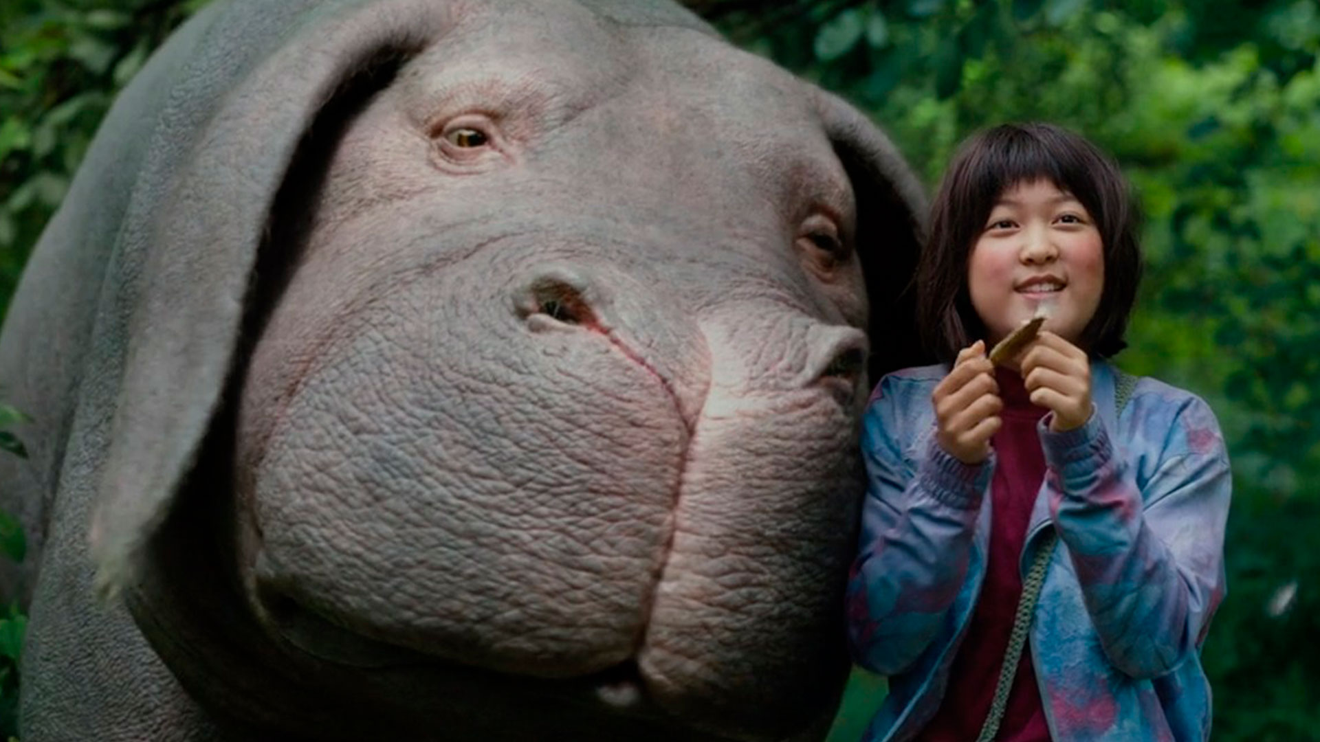 Cena do filme Okja mostra menina ao lado de porca gigante