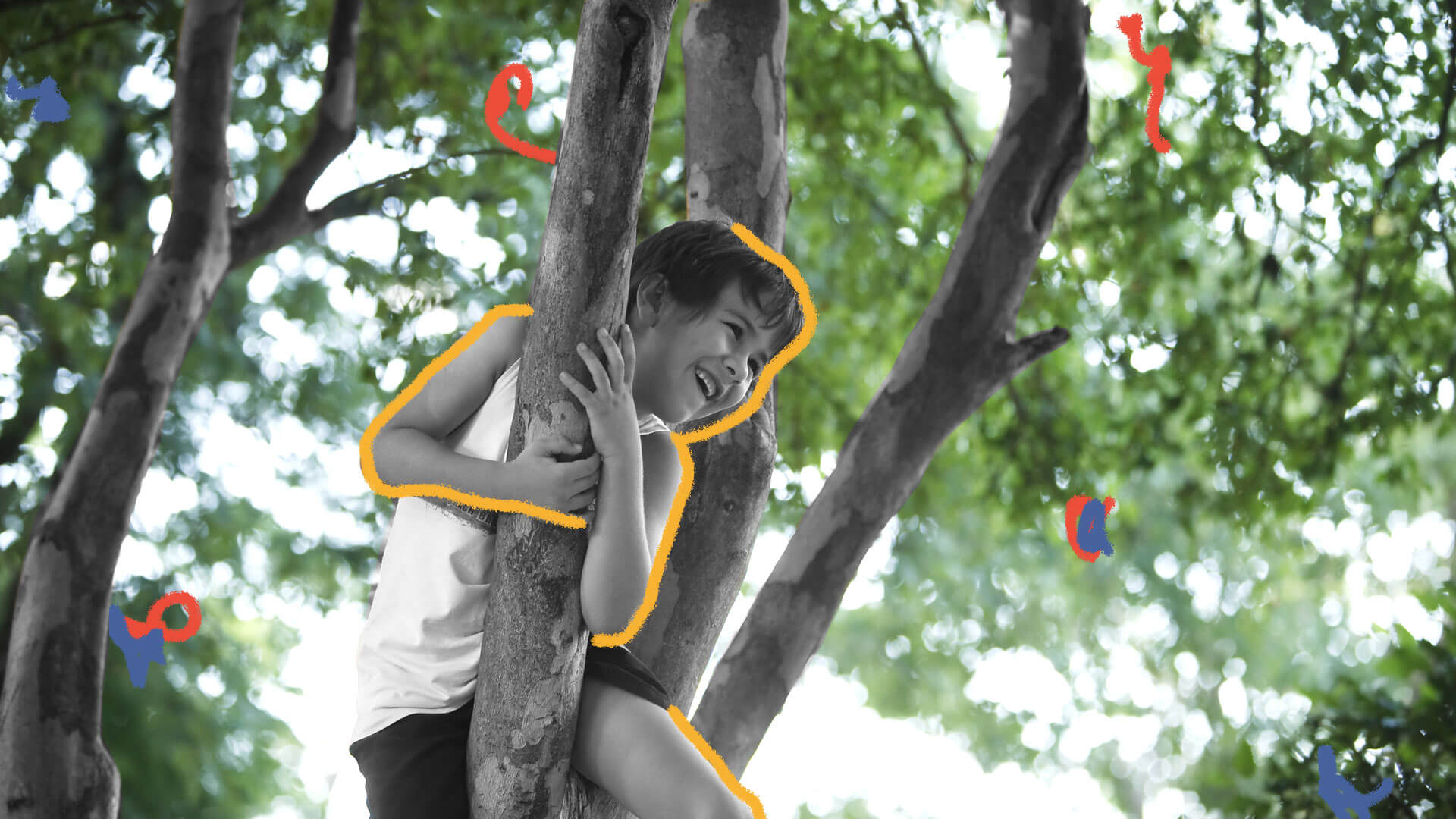 Menino abraça um tronco no alto de uma árvore e sorri. Ao fundo da foto podem ser vistas as folhas verdes de outras árvores, o que nos remete ao contato com a natureza.