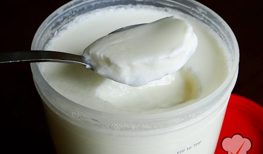 Como fazer iogurte natural caseiro: foto de uma colher cheia de iogurte.