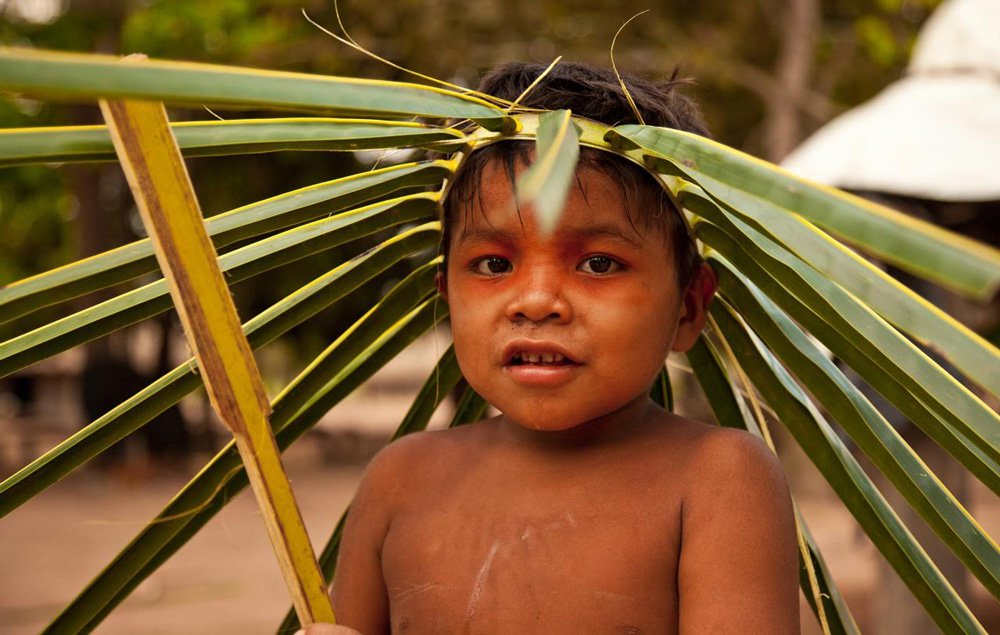 Close de um menino indígena, com uma espécie de coroa de folhas cumpridas na cabeça segurando uma dessas folhas em sua mão.
