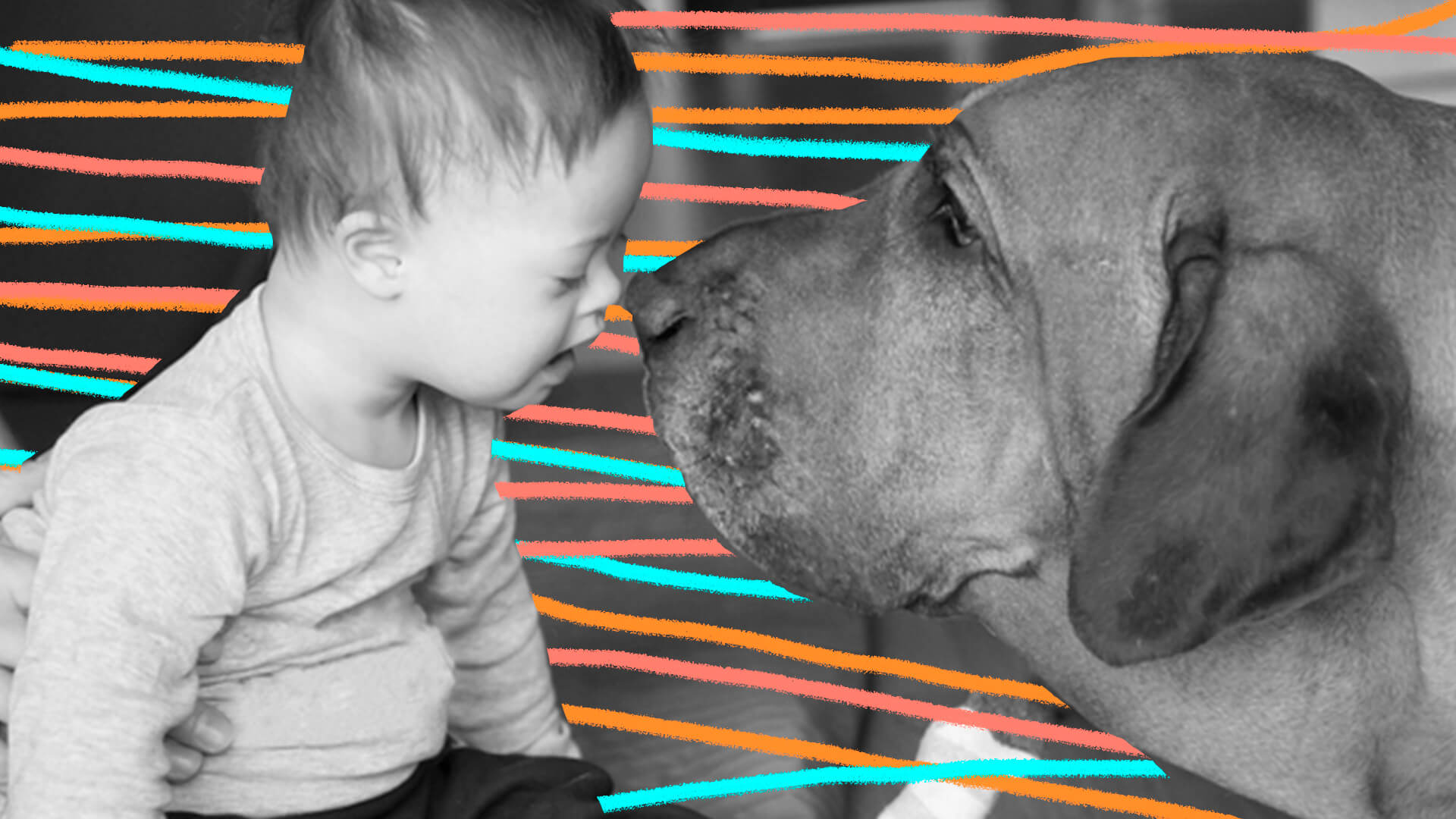 Menino com síndrome de Down encosta nariz no focinho de um cachorro e sorri