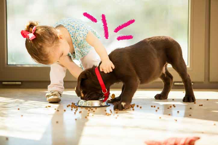 Foto de um cachorro comendo ração em uma tigela. As rações estão espalhadas pelo chão, e um bebê está inclinado com as mãos em cima do cachorro olhando ele comer.