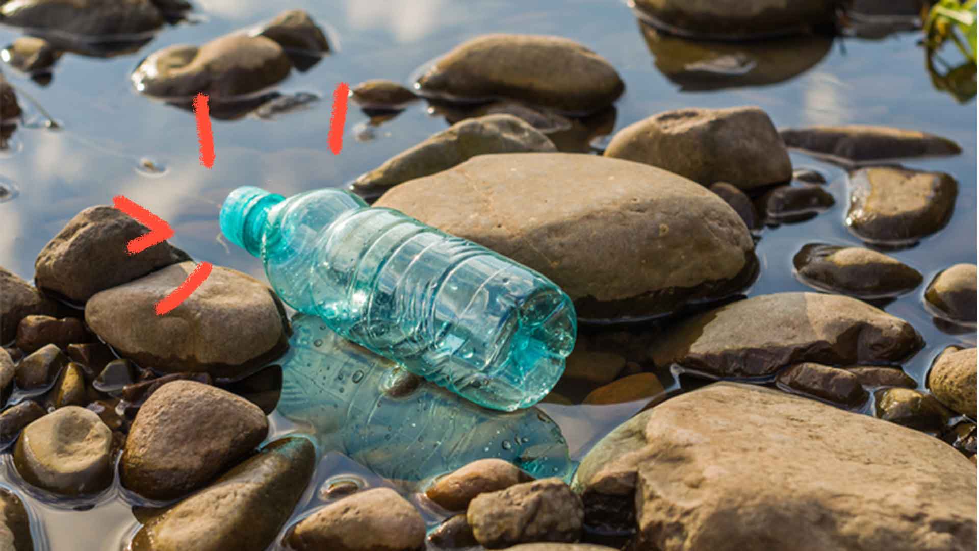 Foto de uma garrafa de plástico de água vazia jogada em um rio poluído juntamente com pedras e água
