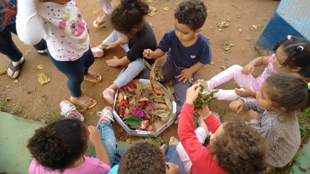 Foto de várias crianças sentadas na terra juntando folhas e flores e guardando em uma caixa de papelão