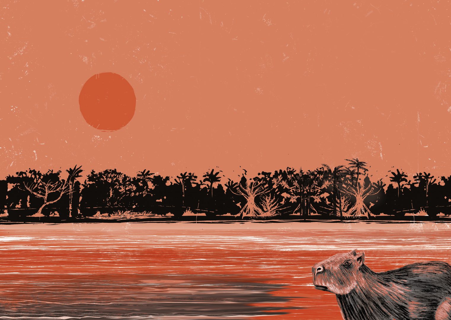 Foto de um mar com coqueiros e um sol refletindo na água, juntamente com o rosto de um animal. A foto inteira está com a cor salmão