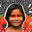 Uma criança indígena com os olhos pintados de vermelho sorri para a câmera. Ao redor dela, uma montagem com folhas de guaraná
