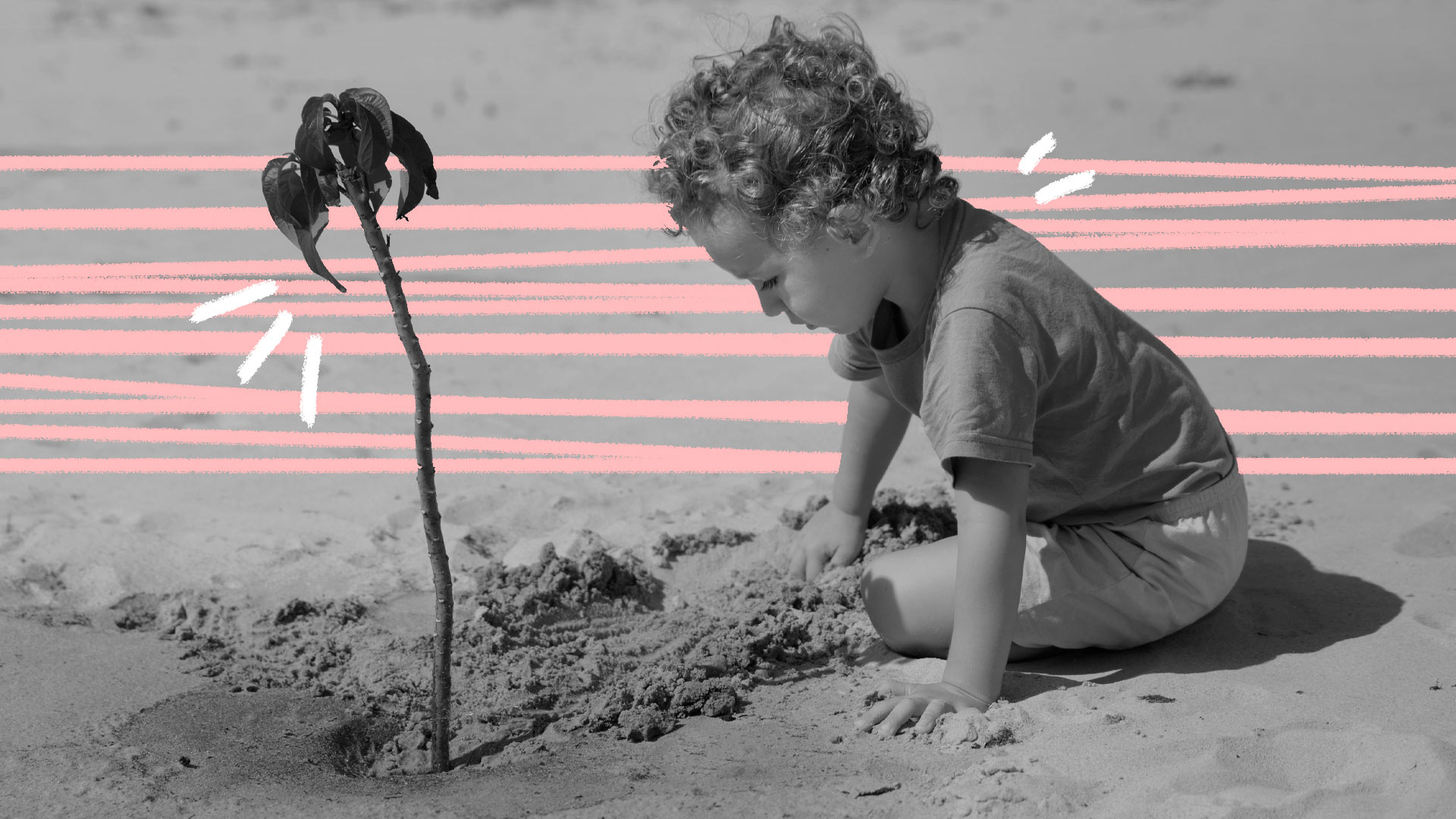 Foto em preto e branco de uma criança plantando uma muda de árvore num terreno deserto de outras plantas