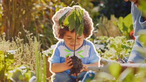 Foto de uma criança plantando uma muda junto de outras plantas. Há um adulto ao seu lado de quem só conseguimos ver o braço e um pouco do rosto