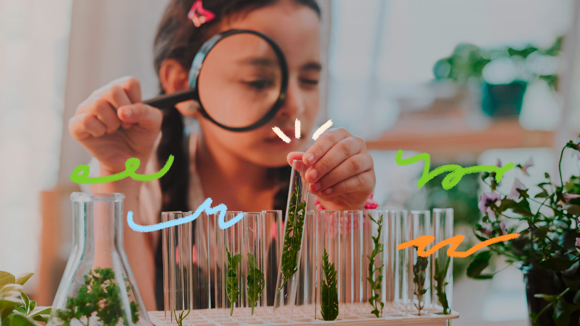 Atividade - As Plantas e A Fotossíntese - Tudo Sala de Aula