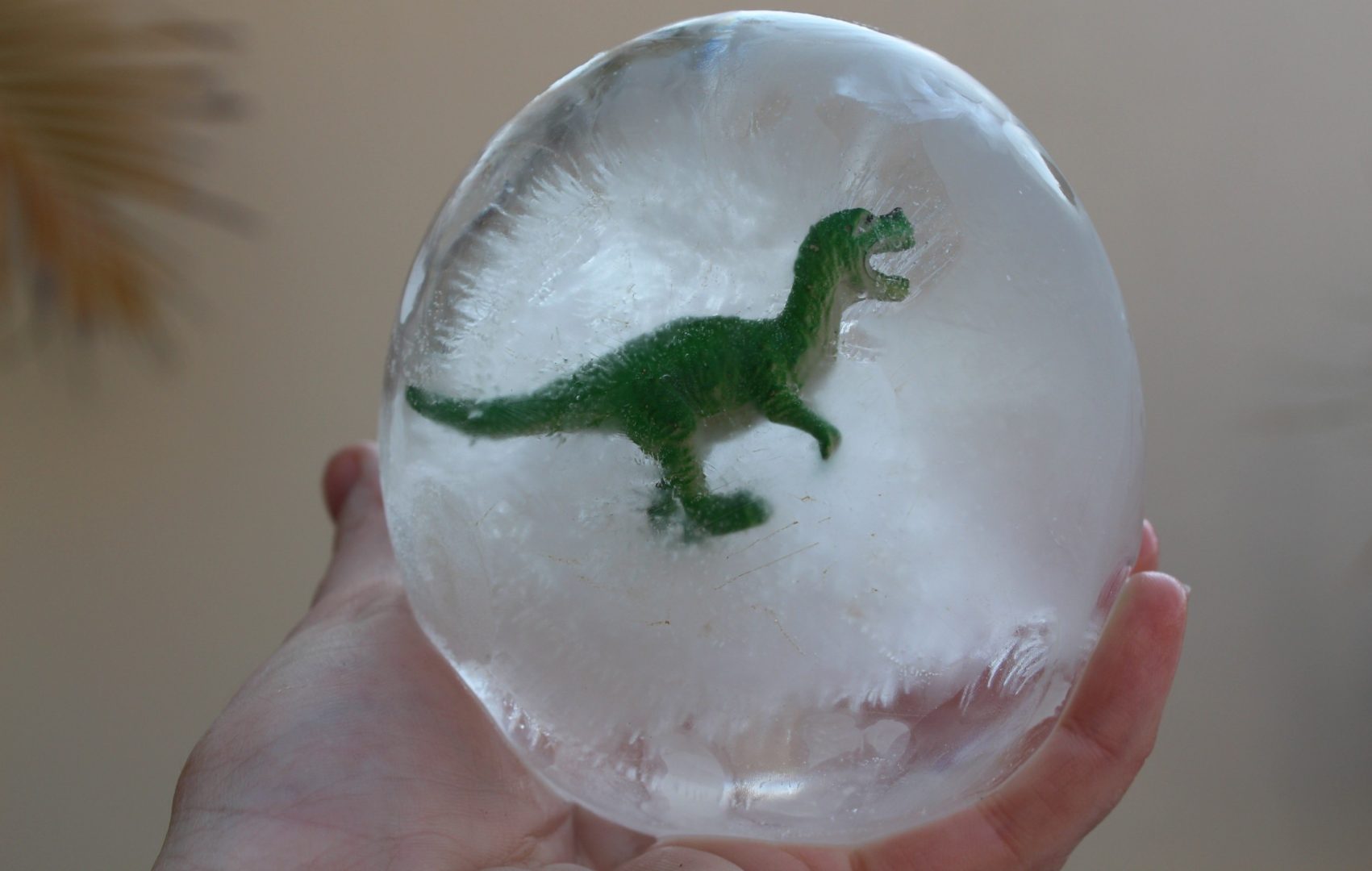 Brincadeiras de dinossauros: uma bola de gelo com um dinossauro de brinquedo dentro
