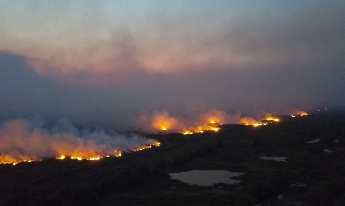 Imagem aérea de uma floresta em chamas