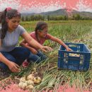 Na foto, uma mulher e uma menina realizam uma colheita em um campo aberto. A imagem possui uma intervenção de moldura na cor rosa.