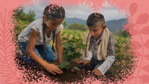 Na foto, duas crianças de pele bronzeada realizam o plantio de uma muda na terra. A imagem possui uma intervenção de moldura na cor rosa.