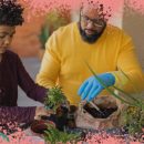 Na foto, pai e filho cultivam plantas em ambiente interno. A imagem possui intervenção de moldura na cor rosa.