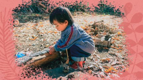 Na foto, uma criança de ascendência asiática e pele clara brinca entre troncos, pinhas e folhas secas. A imagem possui uma intervenção de moldura na cor rosa.