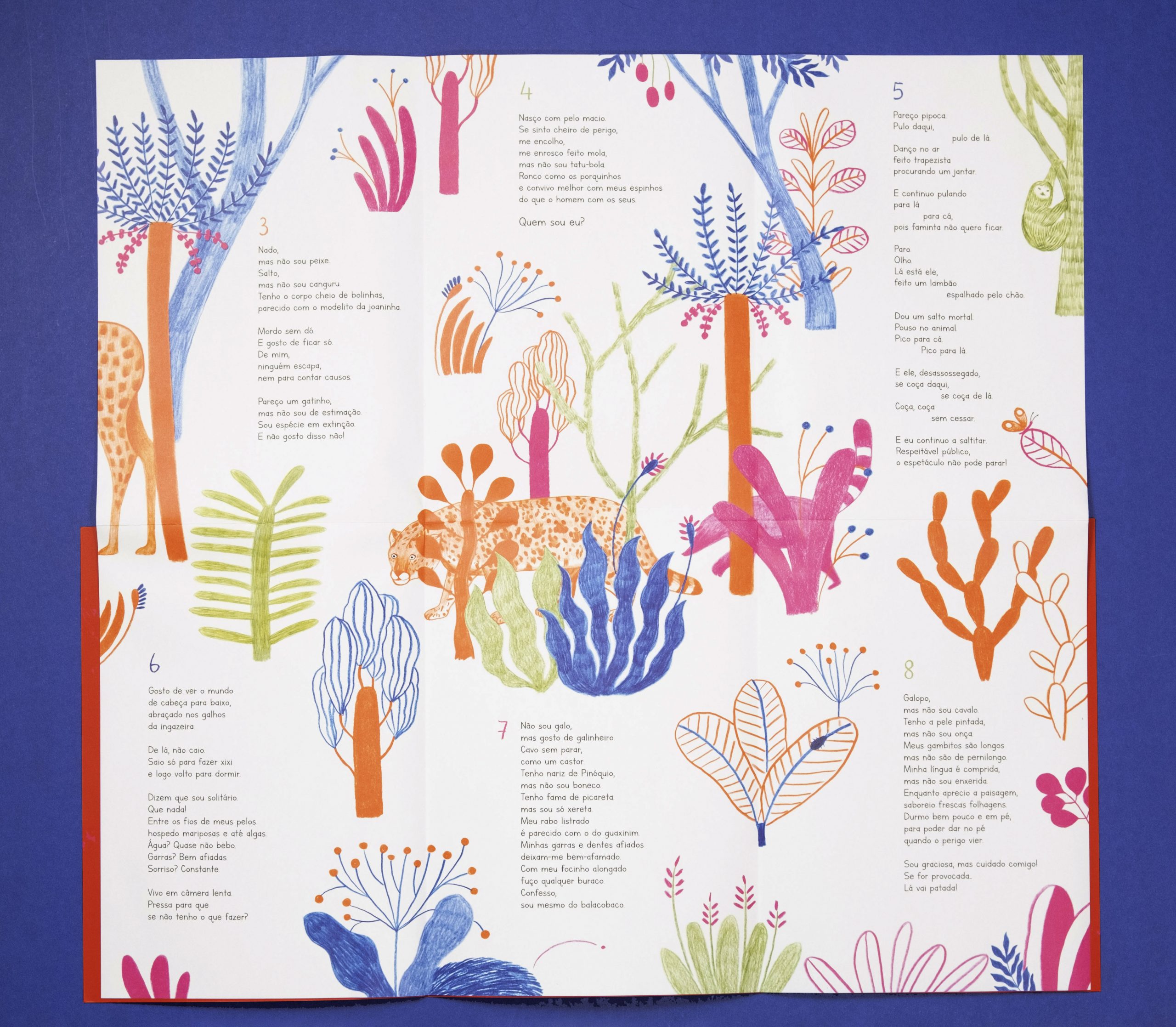 Miolo do livro "Bicho? Que bicho?" em formato de mapa e jogo com plantas coloridas e animais camuflados
