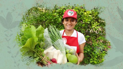Aline Oliveira, da juventude do MST, está com um cesto de verduras e legumes na mão. Ela é uma mulher de pele parda, sorrindo, vestindo uma camisa branca, um avental vermelho e um boné do MST. Ao fundo, uma árvore, e ao redor, uma intervenção de fundo verde com ilustração de folhas.