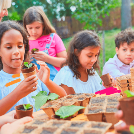 Imagem ilustra matéria sobre a importância da educação ambiental mostra crianças entre seis e oito anos plantando mudas em vasos
