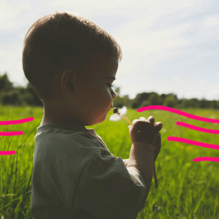 foto de matéria sobre a qualidade do ar mostra um bebê cheirando uma flor em meio a um campo verde