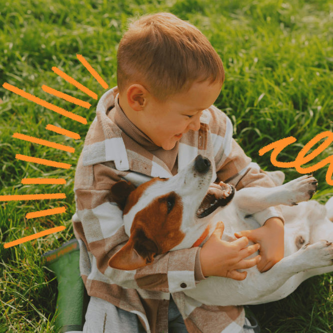 Imagem de capa para matéria sobre animais de estimação mostra um menino branco, vestido camisa quadriculada, sentado sobre a grama verde e segurando um cachorro no colo.