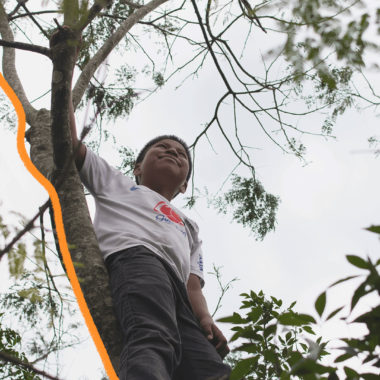 Imagem de capa de matéria sobre as crianças kaingang mostra um menino indígena em cima de uma árvore.