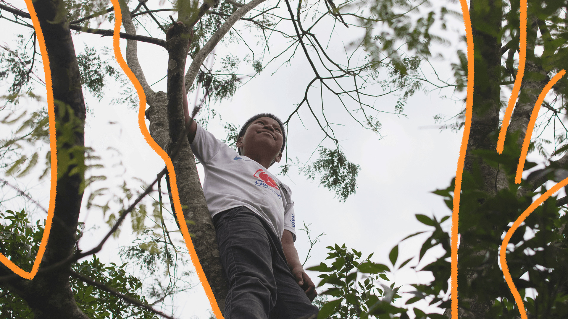 Imagem de capa de matéria sobre as crianças kaingang mostra um menino indígena em cima de uma árvore.