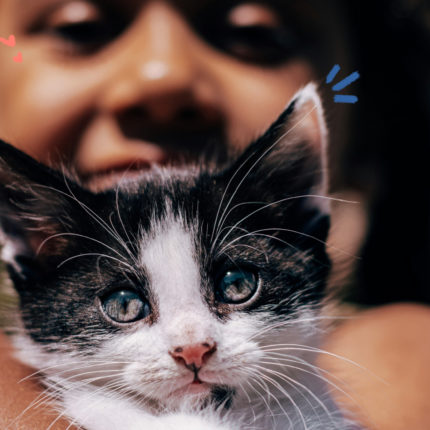 Crianças e animais: imagem mostra uma menina segurando um gato filhote