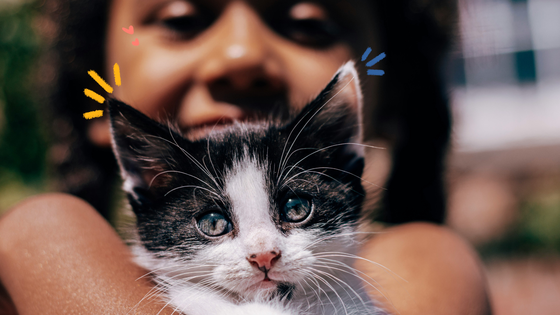 Crianças e animais: imagem mostra uma menina segurando um gato filhote