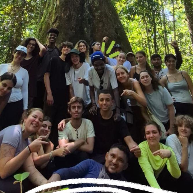 Imagem mostra projeto sobre COP30 nas escolas. Um grupo de adolescentes estão no meio de uma floresta ao redor de uma árvore.