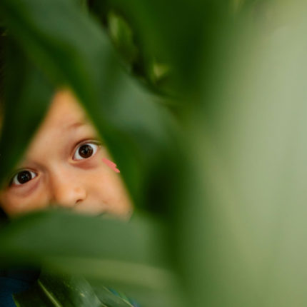 Imagem mostra um menino branco escondido atrás de folhas verdes de uma planta.