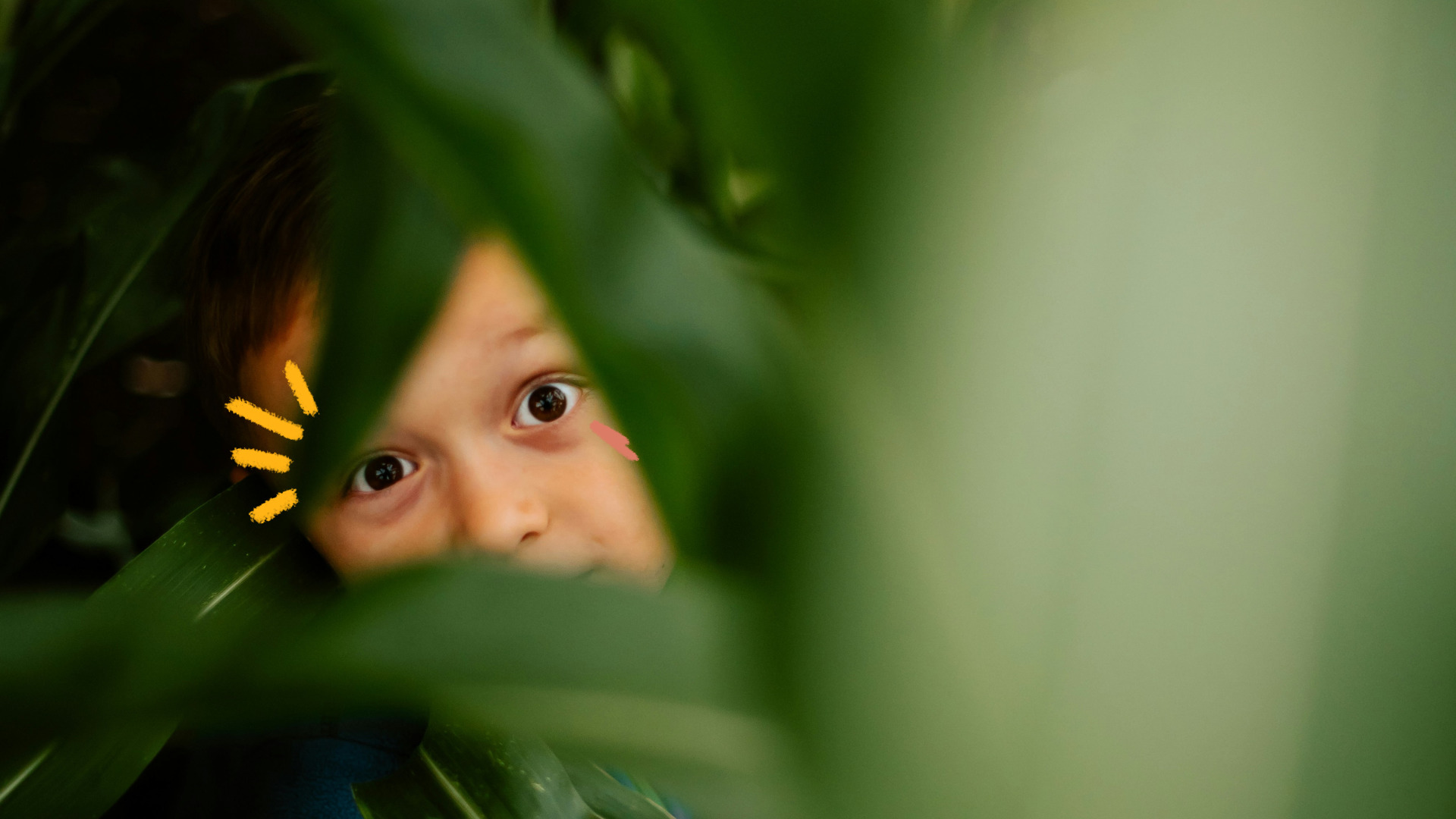 Imagem mostra um menino branco escondido atrás de folhas verdes de uma planta.