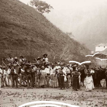 Fotografia antiga em preto e branco mostra um grupo de homens e mulheres negros reunidos em uma área aberta, alguns segurando ferramentas de trabalho e ao lado de bois de carga. Ao fundo, há uma encosta e construções antigas.