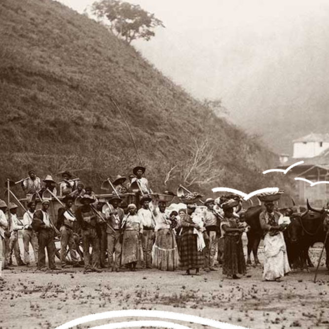 Fotografia antiga em preto e branco mostra um grupo de homens e mulheres negros reunidos em uma área aberta, alguns segurando ferramentas de trabalho e ao lado de bois de carga. Ao fundo, há uma encosta e construções antigas.