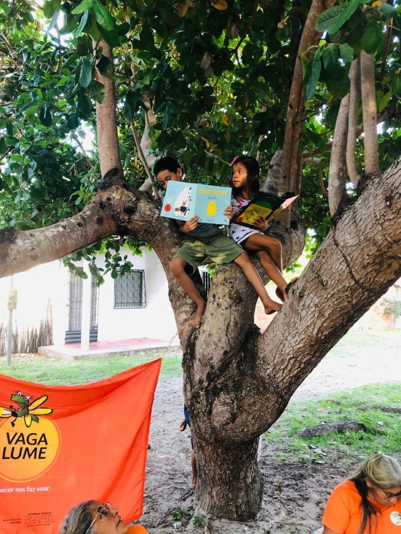 Crianças sentadas em uma árvore leem livros durante uma atividade da biblioteca comunitária Vaga Lume.